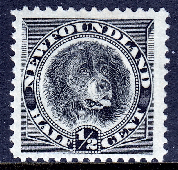 Newfoundland dog stamp